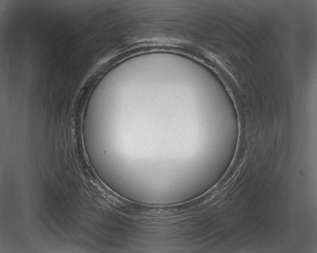 X0000084601307200702231025