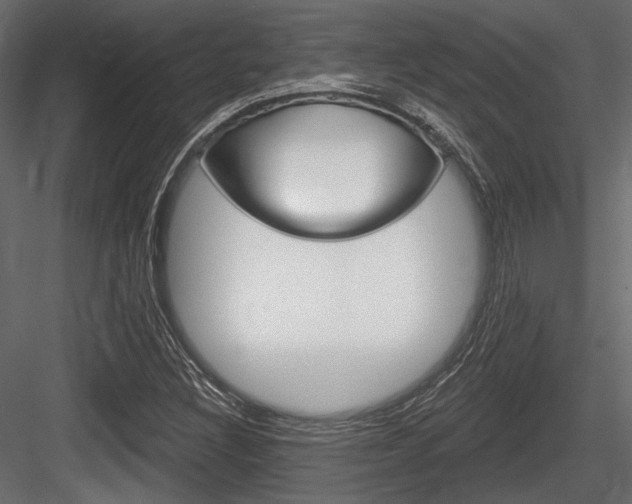 X0000084601308200702231025