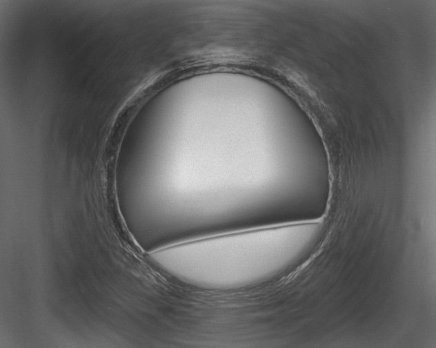 X0000084601309200702231025