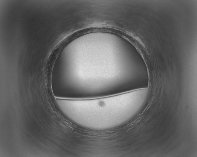 X0000084601311200702231025