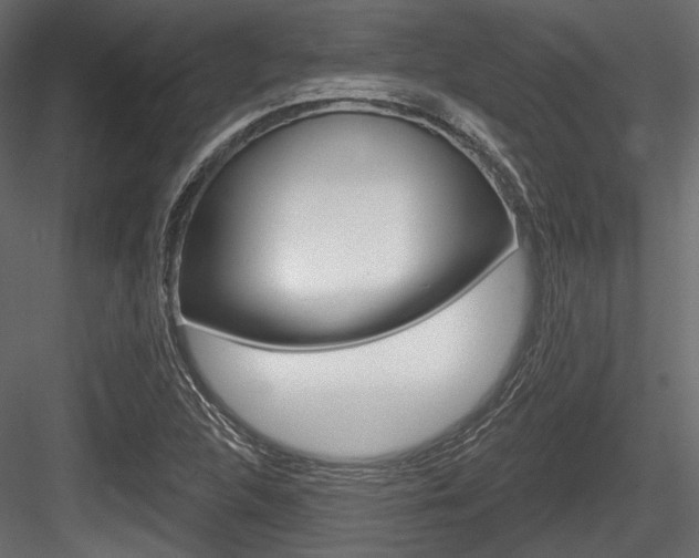 X0000084601312200702231025