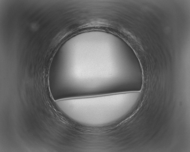 X0000084601313200702231025
