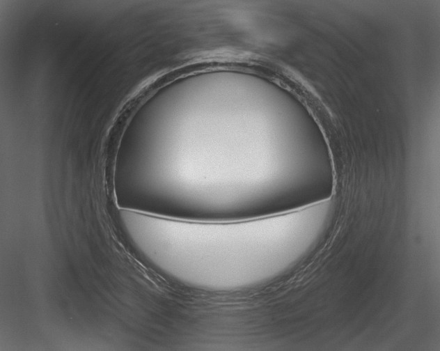 X0000084601315200702231025