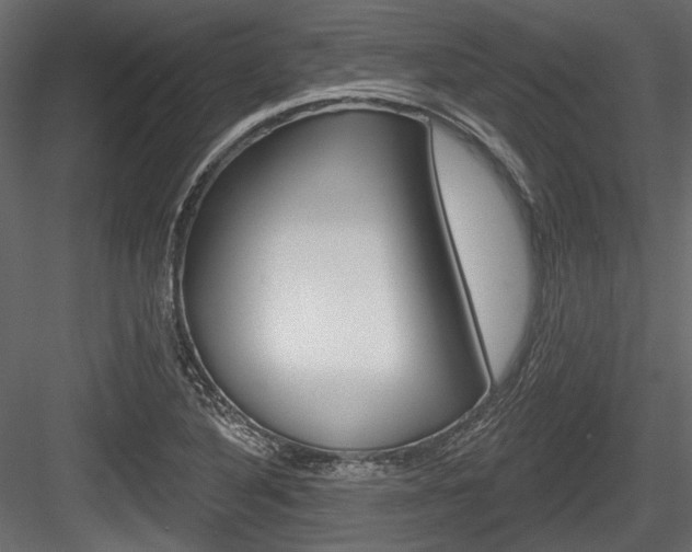 X0000084601316200702231025