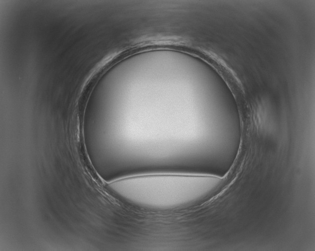 X0000084601317200702231025