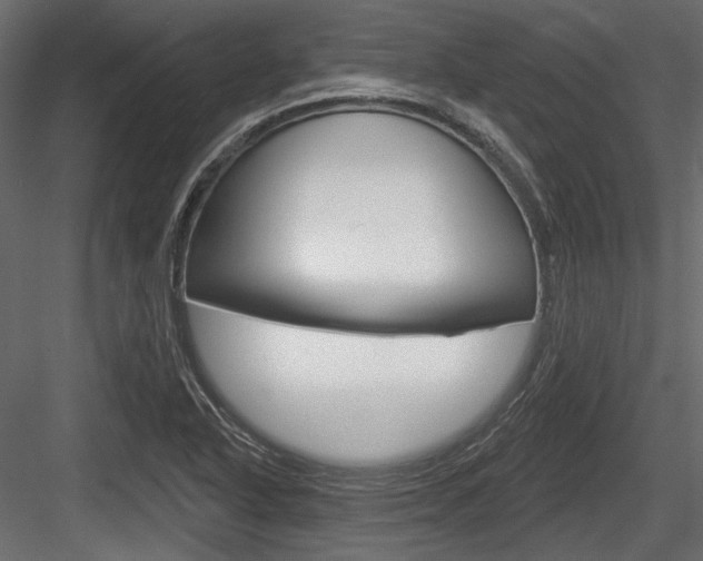 X0000084601318200702231026