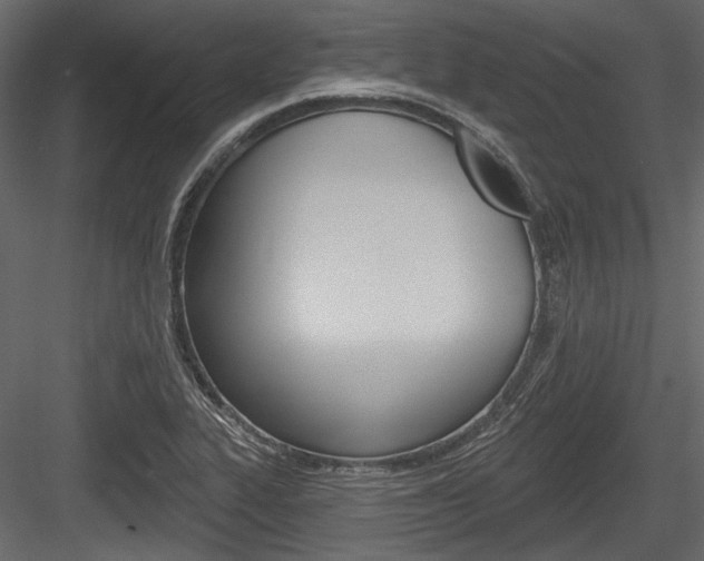 X0000084601319200702231026