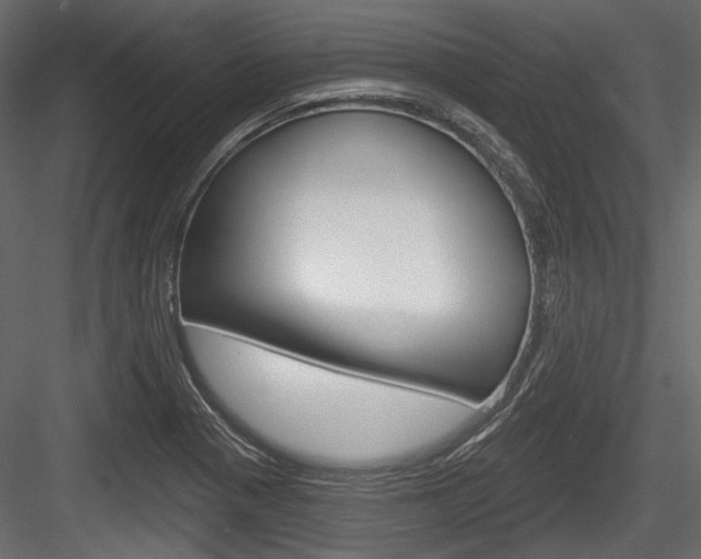 X0000084601321200702231026