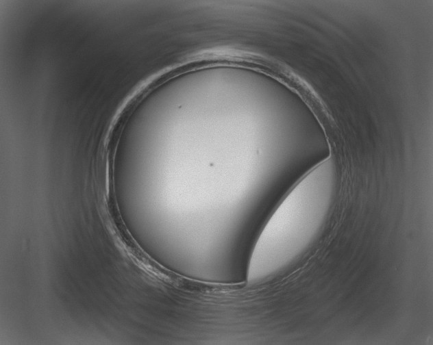 X0000084601323200702231026