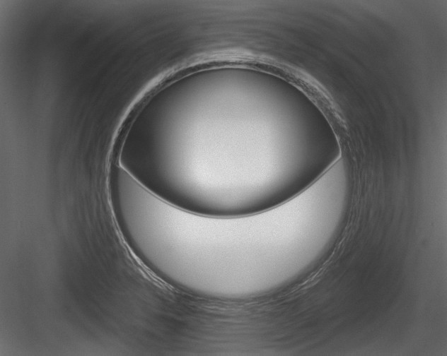 X0000084601326200702231026