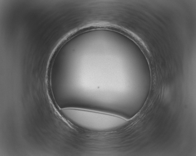 X0000084601327200702231026