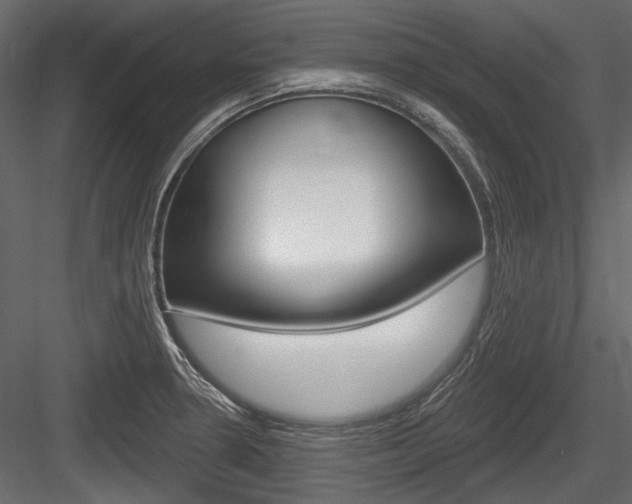 X0000084601330200702231026