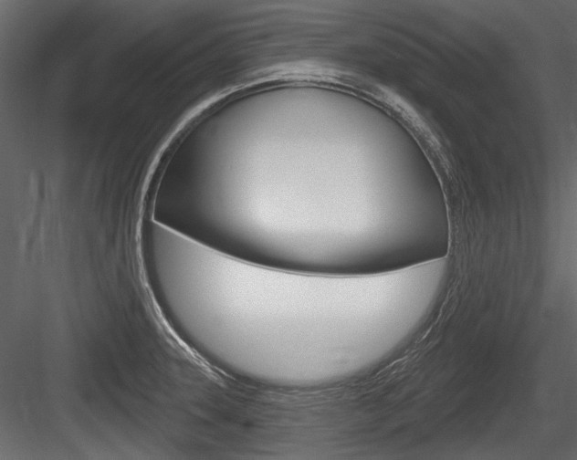 X0000084601331200702231026