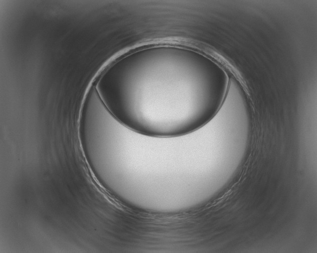 X0000084601332200702231026