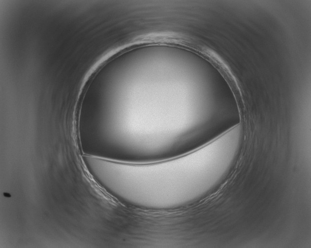 X0000084601336200702231026