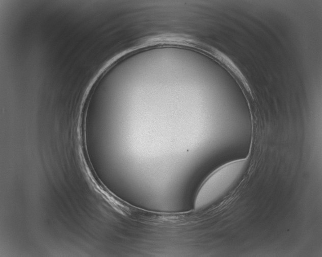 X0000084601339200702231026