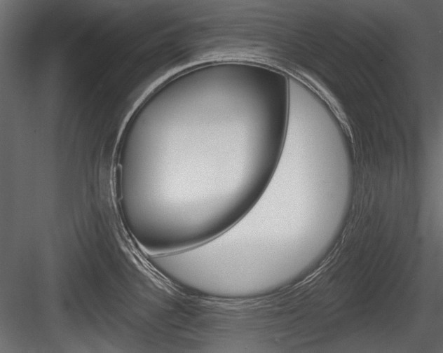 X0000084601340200702231026