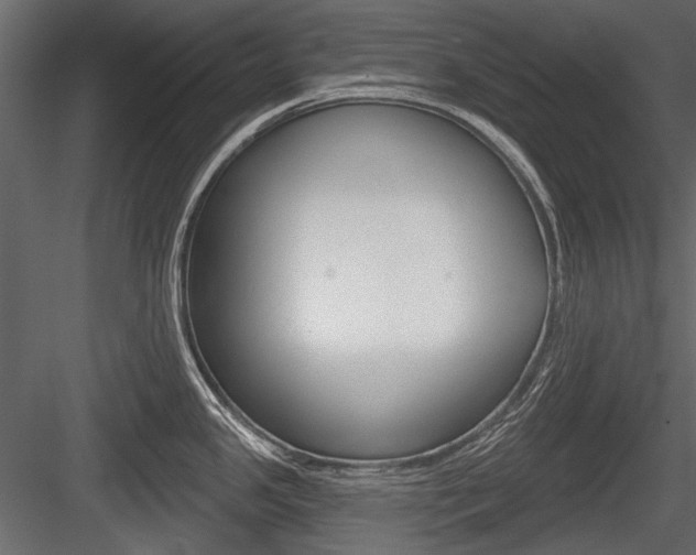 X0000084601341200702231026