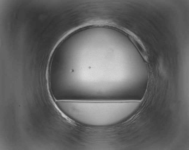 X0000084601343200702231026
