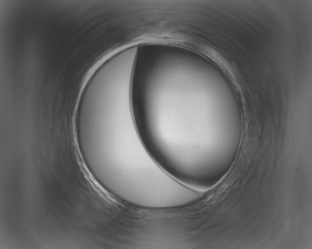 X0000084601344200702231026