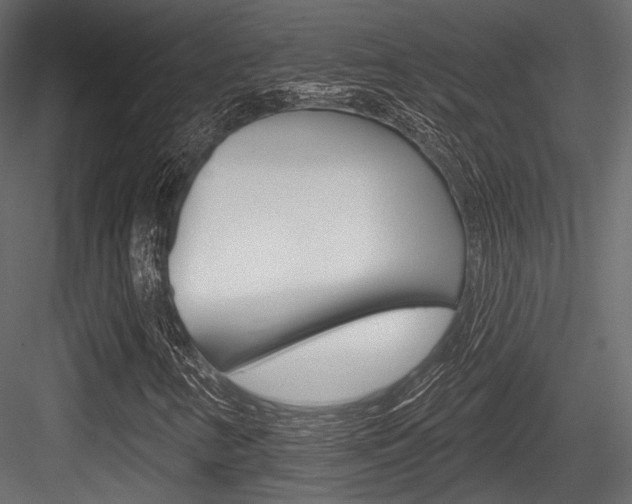 X0000084601346200702231025