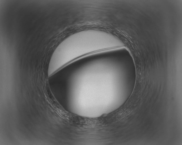 X0000084601349200702231025