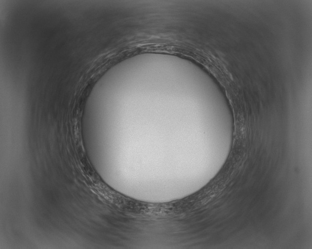 X0000084601350200702231025