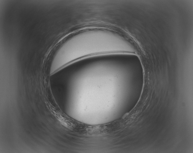 X0000084601352200702231025