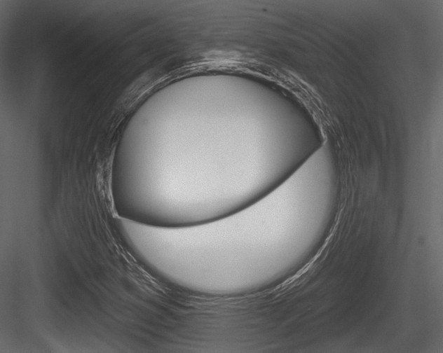 X0000084601353200702231025