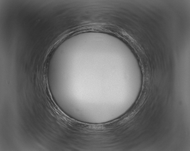 X0000084601354200702231025