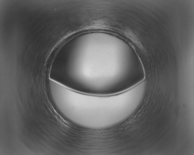 X0000084601356200702231025