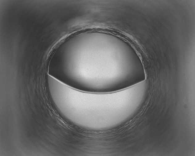 X0000084601359200702231025