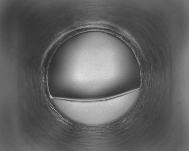 X0000084601360200702231025