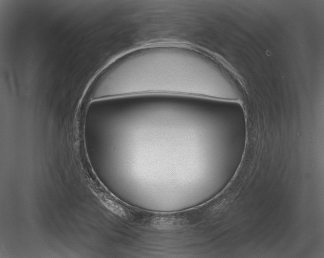 X0000084601364200702231025