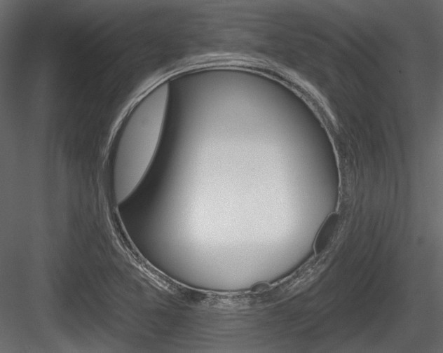 X0000084601365200702231025