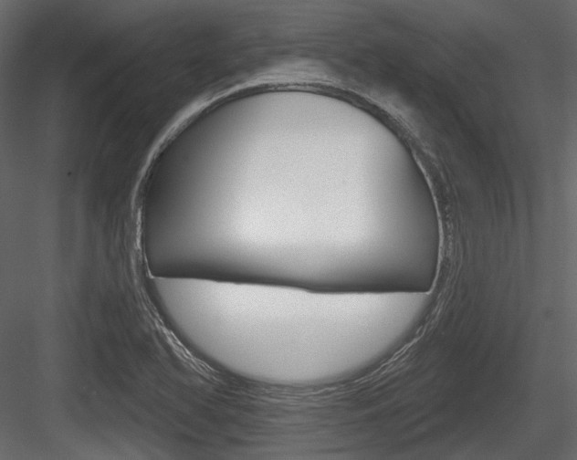 X0000084601366200702231025