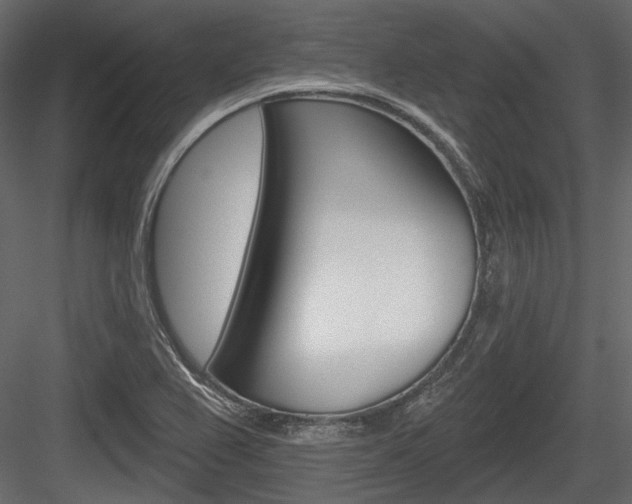 X0000084601367200702231025