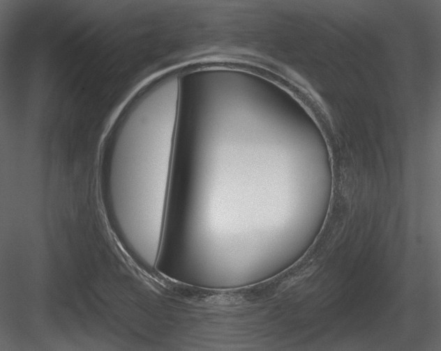 X0000084601368200702231025