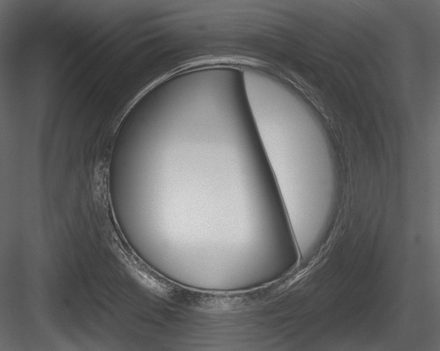 X0000084601369200702231025