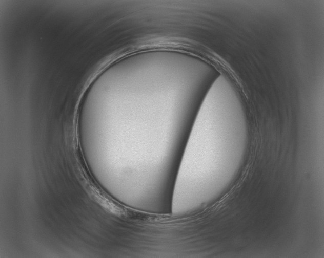 X0000084601370200702231025