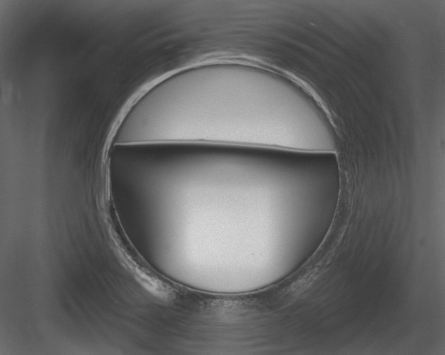 X0000084601371200702231025