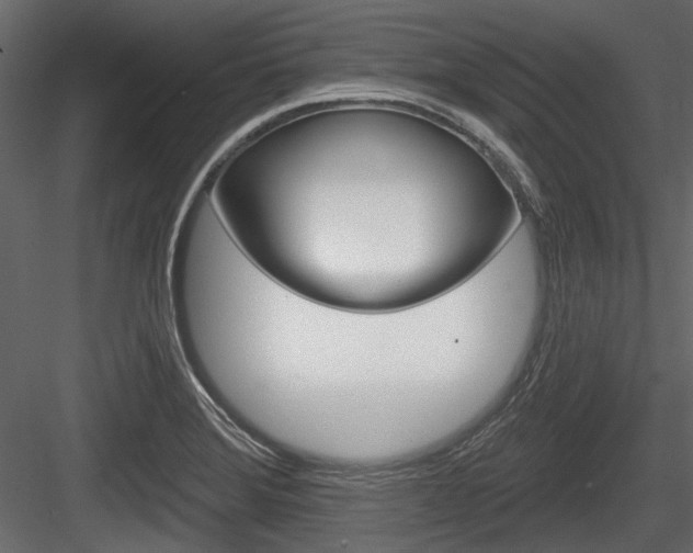 X0000084601372200702231025