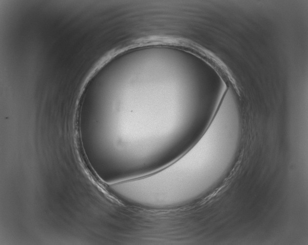 X0000084601373200702231025