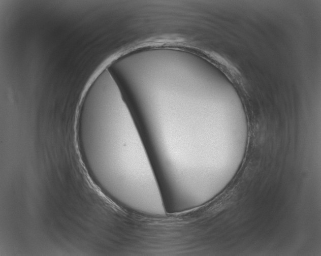 X0000084601374200702231025