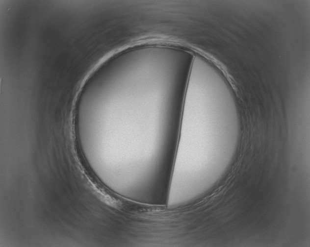 X0000084601375200702231025