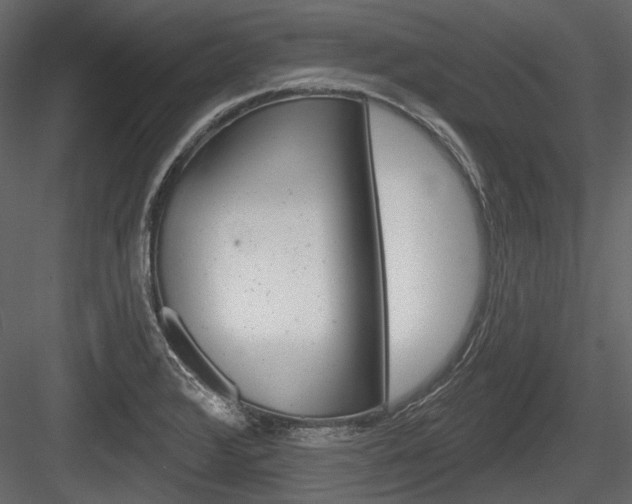 X0000084601376200702231025