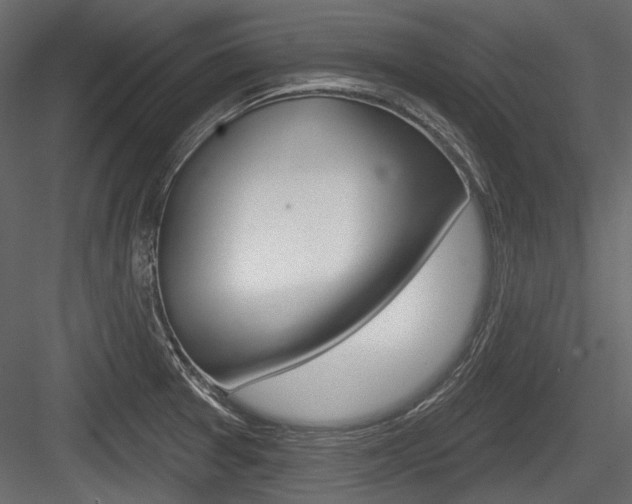 X0000084601377200702231025