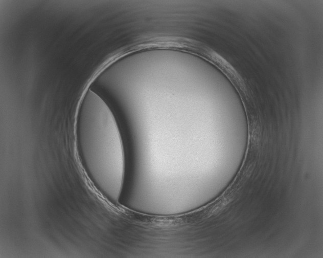X0000084601378200702231025