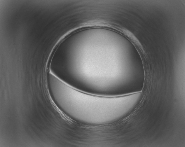 X0000084601380200702231025