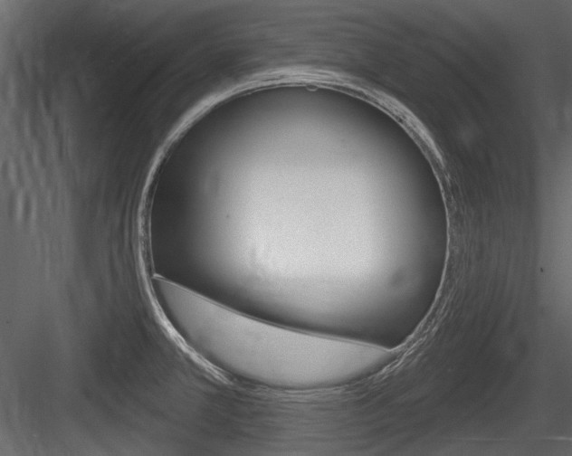 X0000084601381200702231025